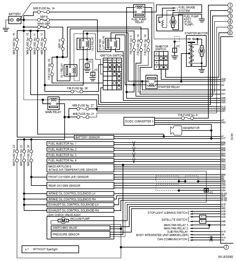 G13614048