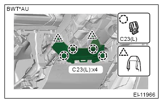 G13625969