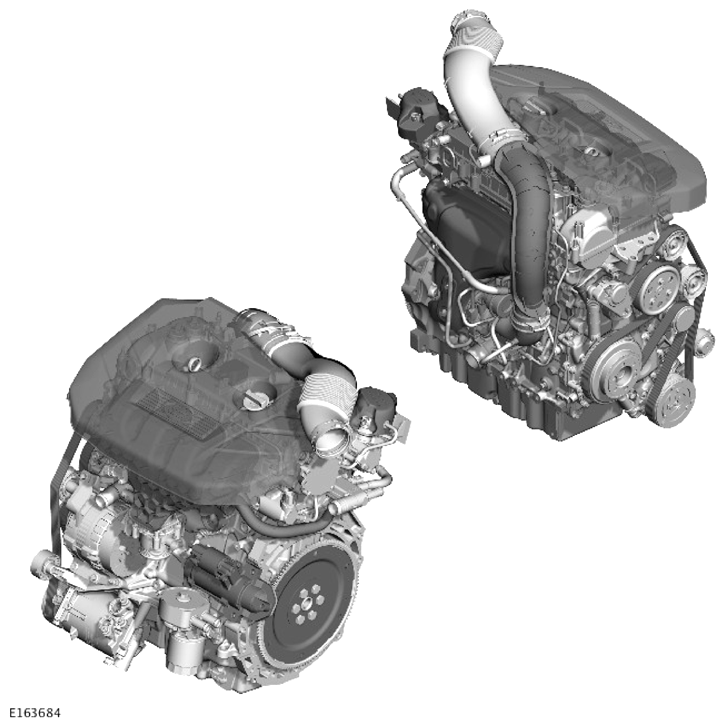 G13630983