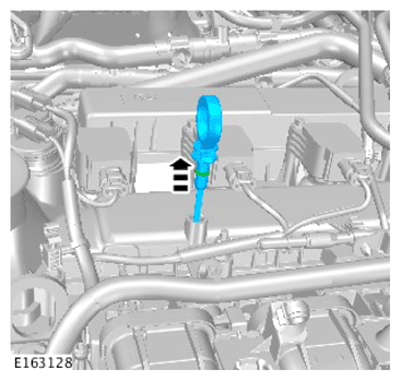 G13631019