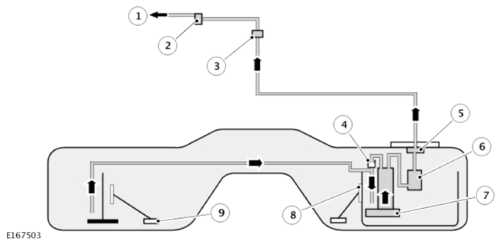 G13632154
