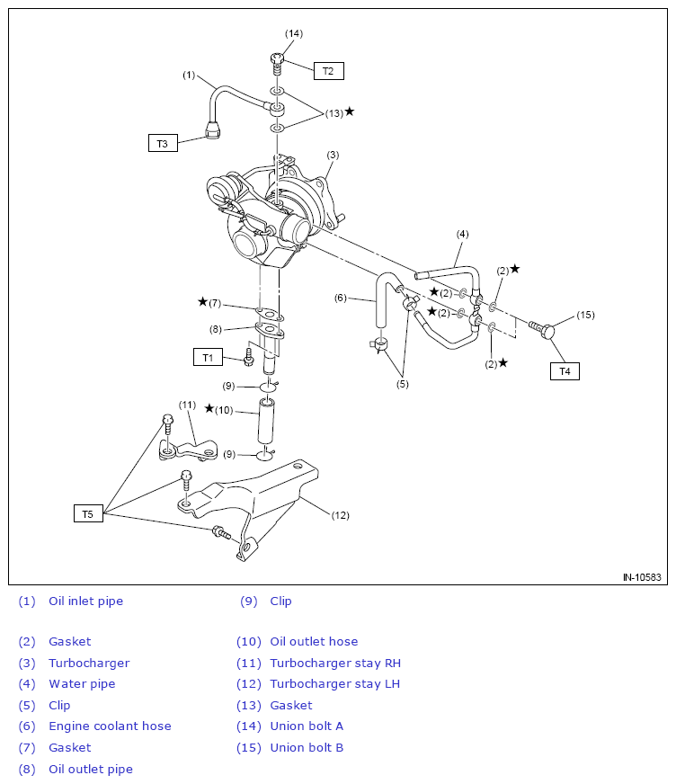 G13640379