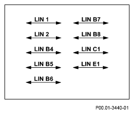 G13654291