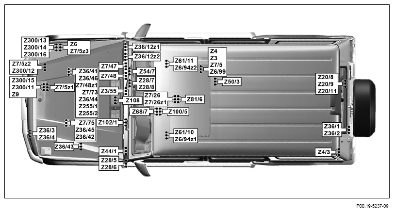 G13654316