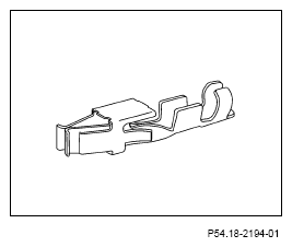 G13654319