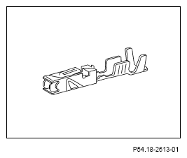 G13654333