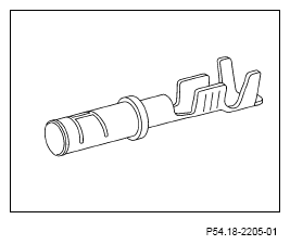 G13654335