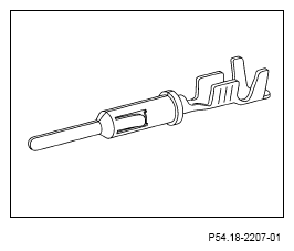 G13654338
