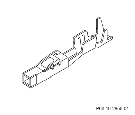 G13654342
