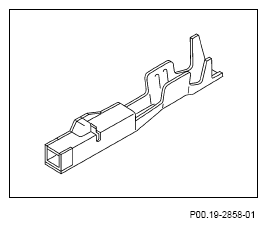 G13654343