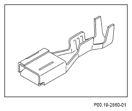 G13654345
