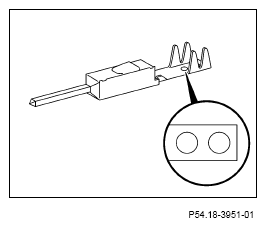 G13654346