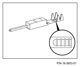 G13654348