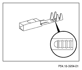 G13654349