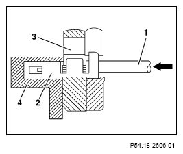 G13654381