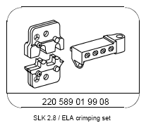 G13654388