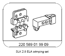 G13654389