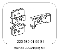 G13654391
