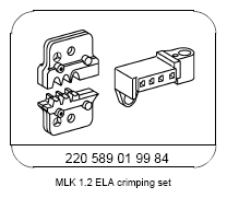 G13654393