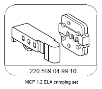 G13654394