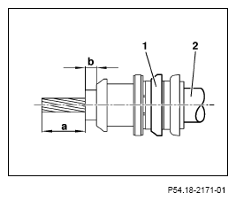G13654396