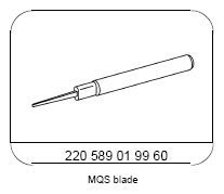 G13654491