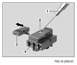 G13654508