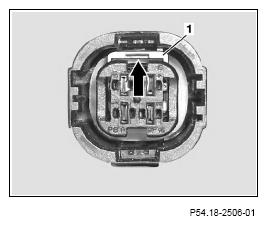 G13654528