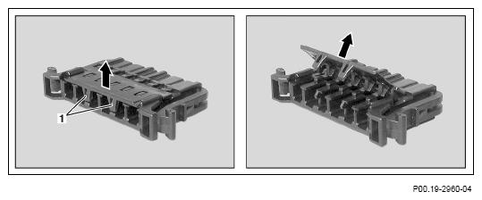 G13654544