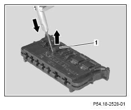 G13654550