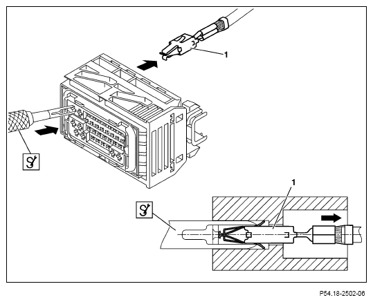 G13654554