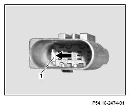 G13654560