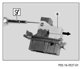 G13654561