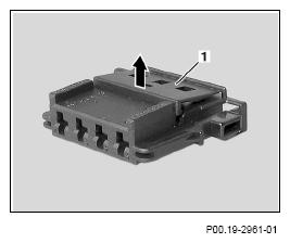 G13654569