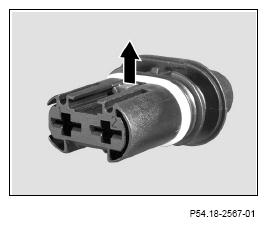 G13654594