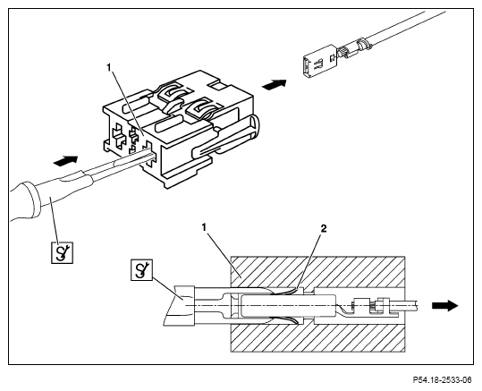 G13654595