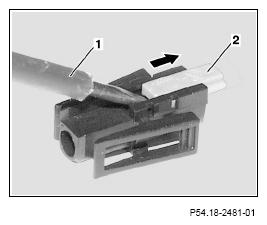 G13654612
