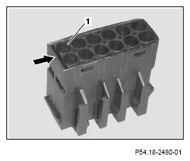 G13654621