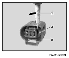 G13654662
