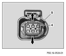 G13654665