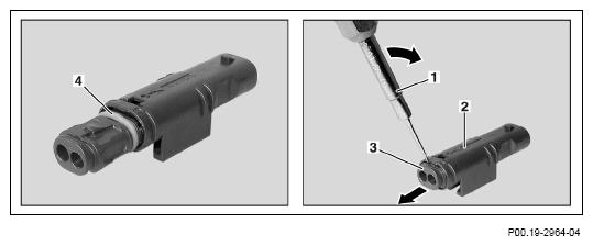 G13654671