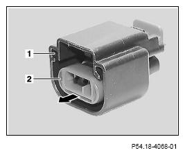 G13654678