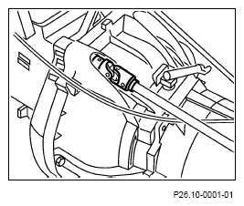 G13654954