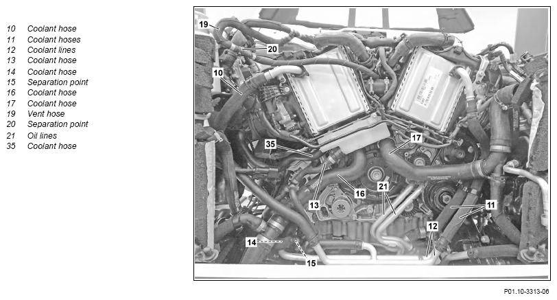 G13655225