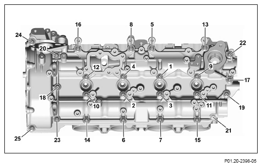 G13655254