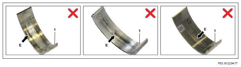 G13655364