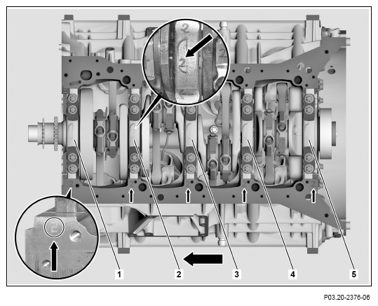G13655462