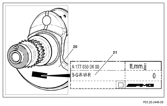 G13655464