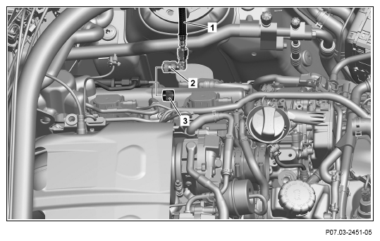 G13656056