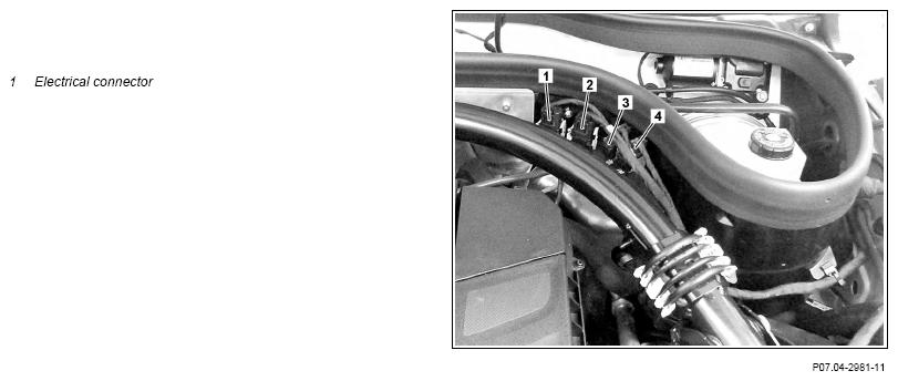G13656089